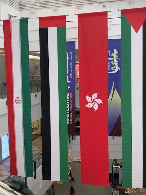Asian Cup 2023 Team Flags.
