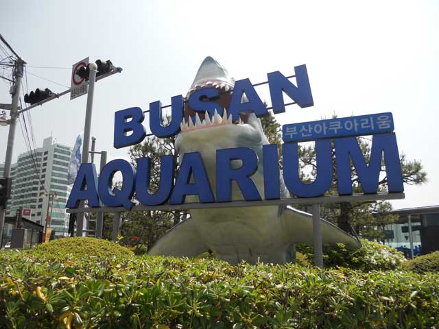 Sea Life Busan Aquarium.
