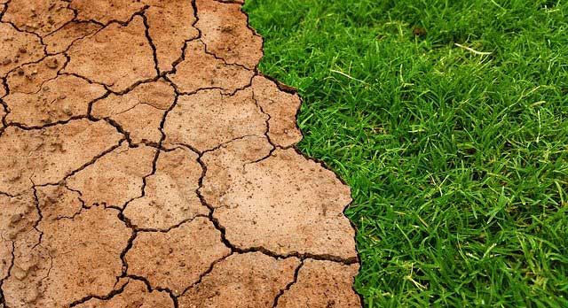 Global temperatures will rise in the future.