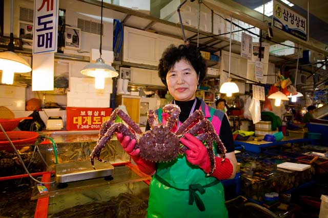 Jagalchi Fish Market.