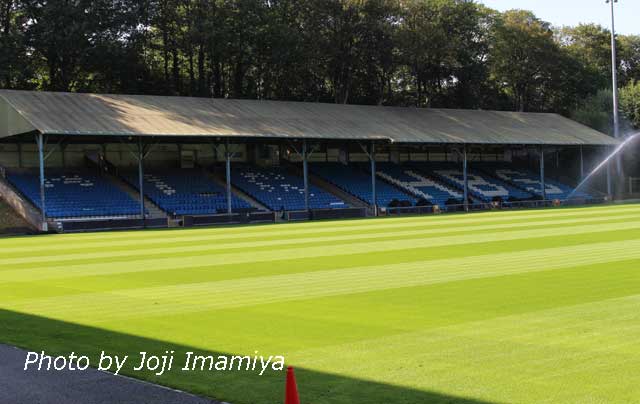 The turf in immaculate condition in August 2025.