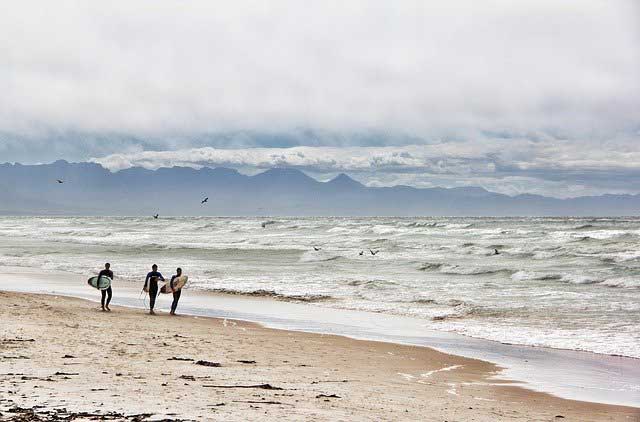 Surfing in South Africa.