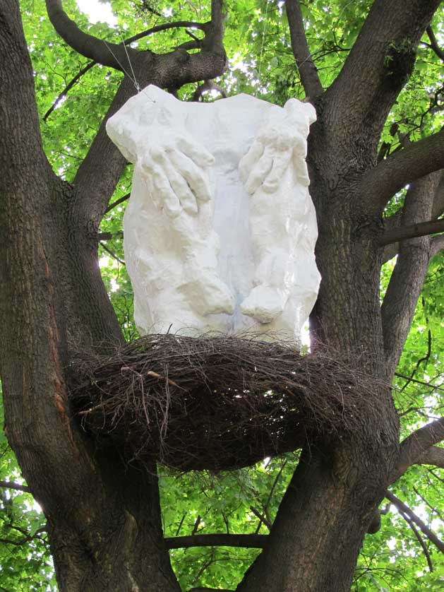 The Nest by Tomasz Koclęga.