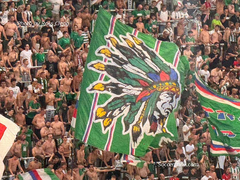 Football in Vienna.