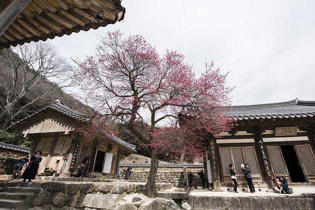 Hwaeomsa Temple, Jirisan Park, Yeosu.