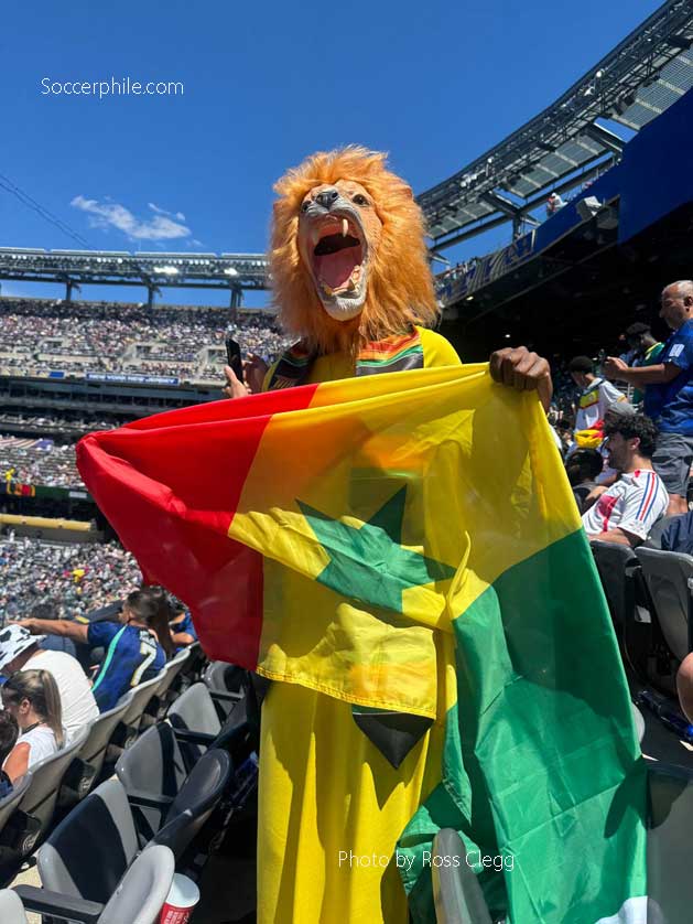 The Lions of Teranga.
