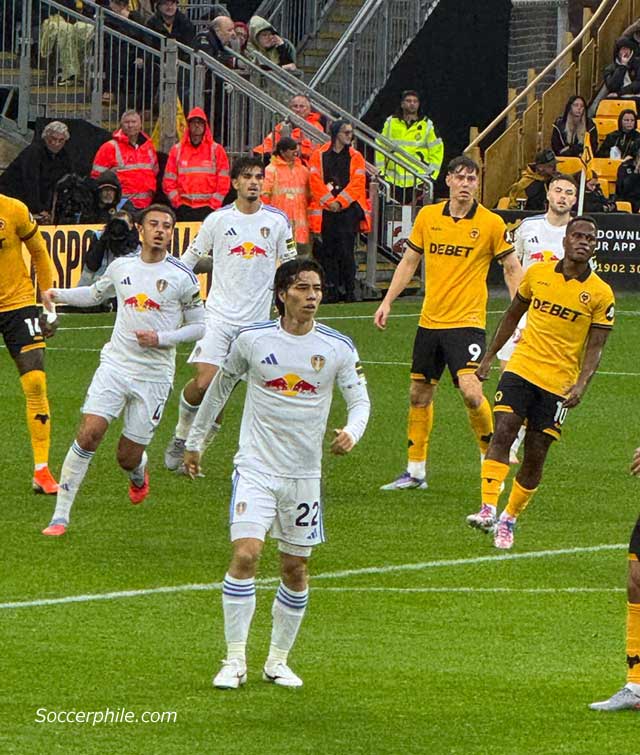 Ao Tanaka at Molineux.
