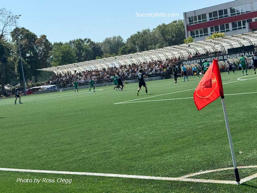 The ground has artificial turf.