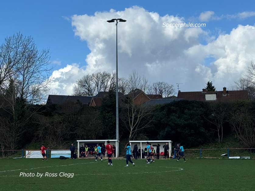The ground has floodlights and natural turf.