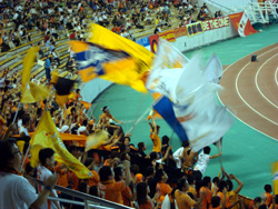 Shimizu fans.