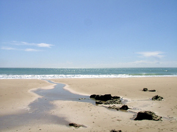 Algarve beach.