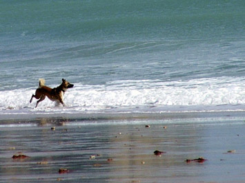 Algarve beach-bum.