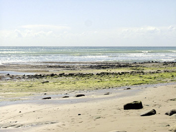 Algarve beach.