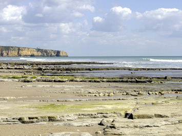Algarve beach.