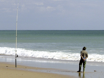 Algarve fishing.