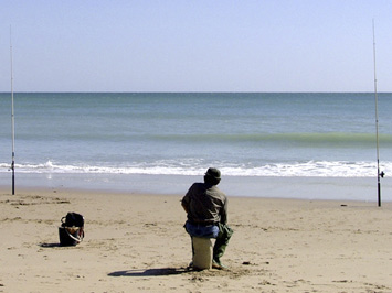 Algarve fishing.