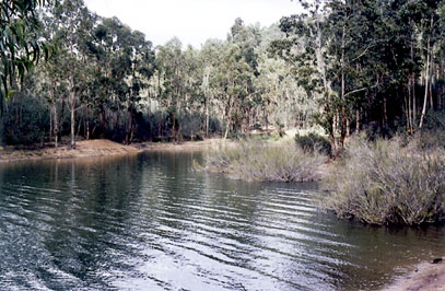 Bravura reservoir.