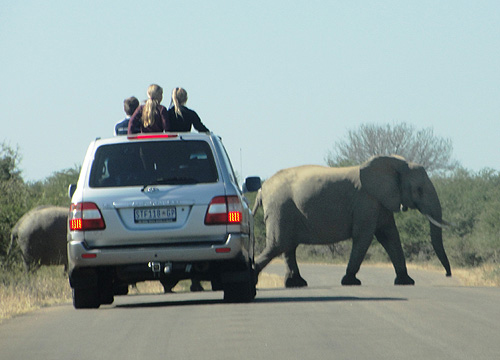 Kruger Park.
