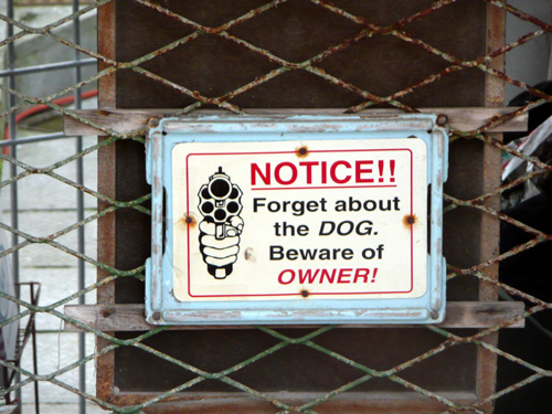 Forget about the Dog, South Africa.