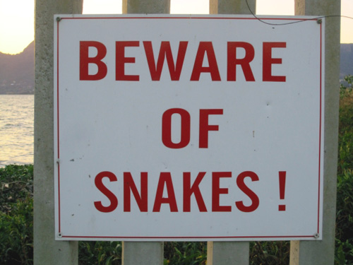 Beware Of Snakes, World Cup 2010, South Africa.