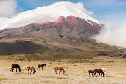 Mt Cotopaxi, Ecuador, South America